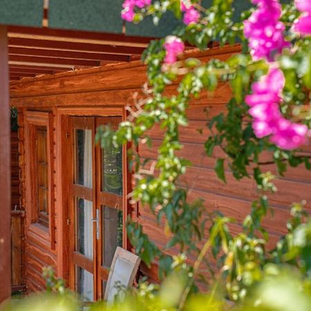 Felicity Hotel & Bungalows Kemer Kültér fotó