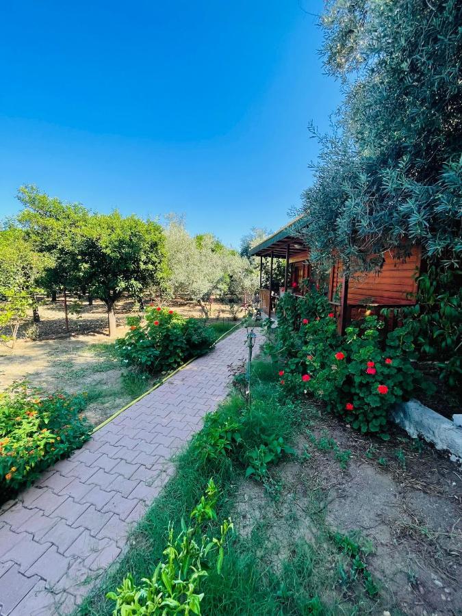 Felicity Hotel & Bungalows Kemer Kültér fotó