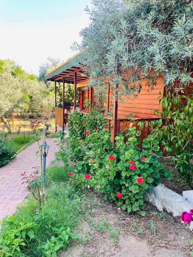 Felicity Hotel & Bungalows Kemer Kültér fotó