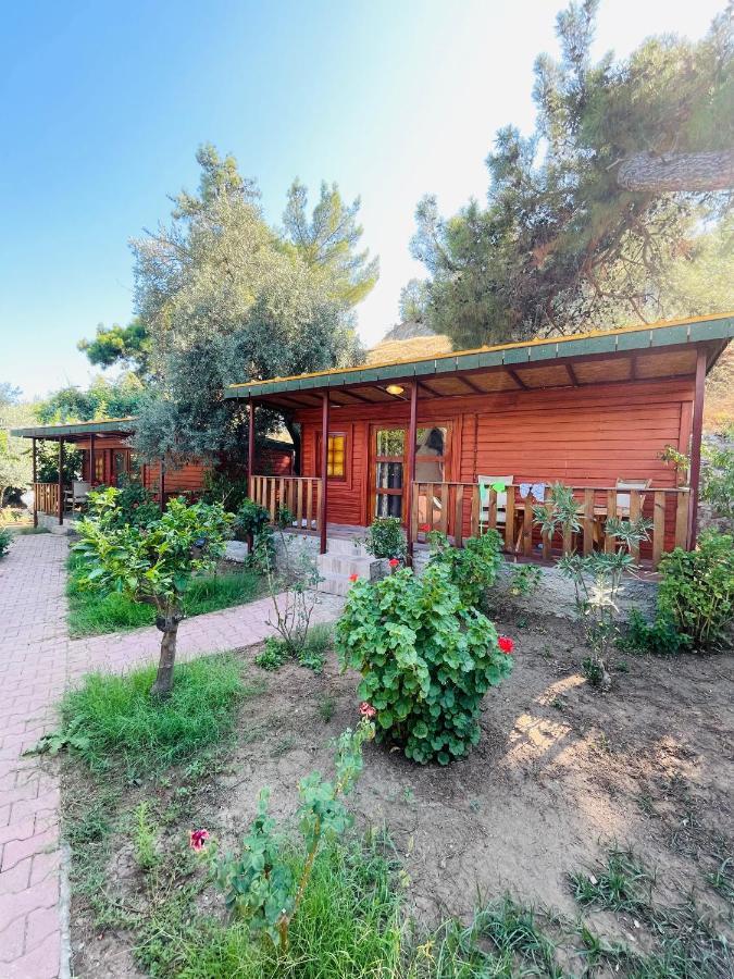 Felicity Hotel & Bungalows Kemer Kültér fotó