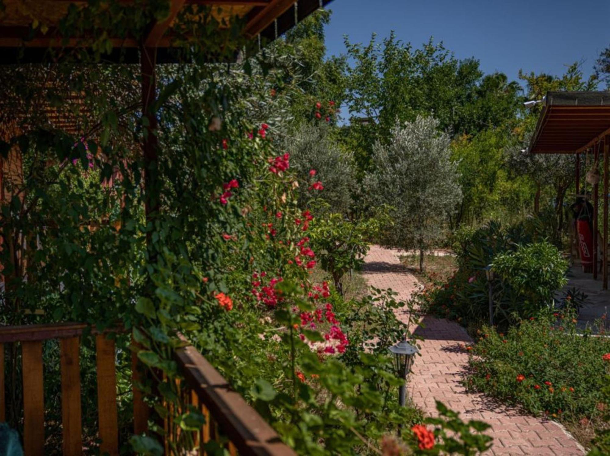 Felicity Hotel & Bungalows Kemer Kültér fotó