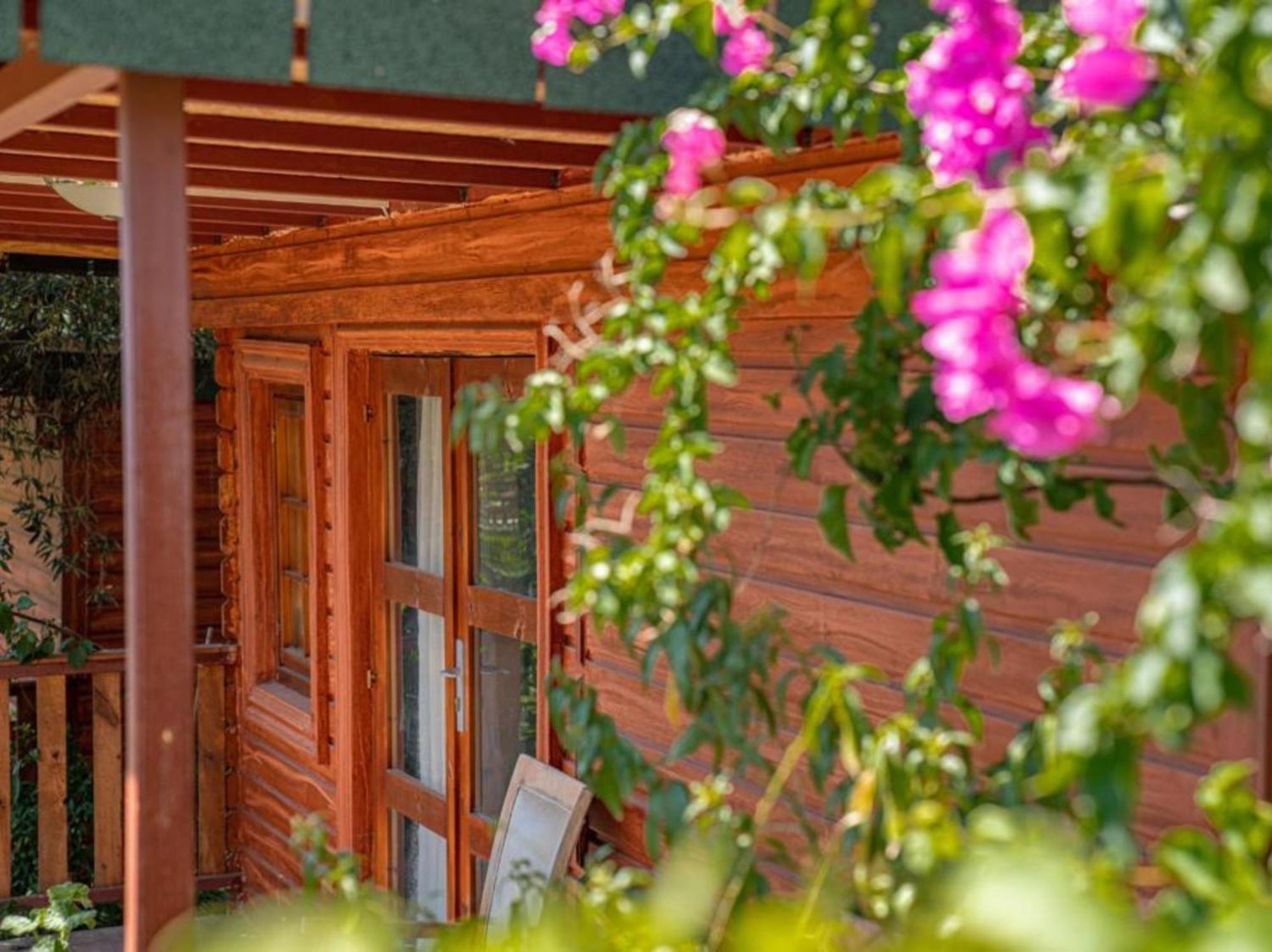 Felicity Hotel & Bungalows Kemer Kültér fotó