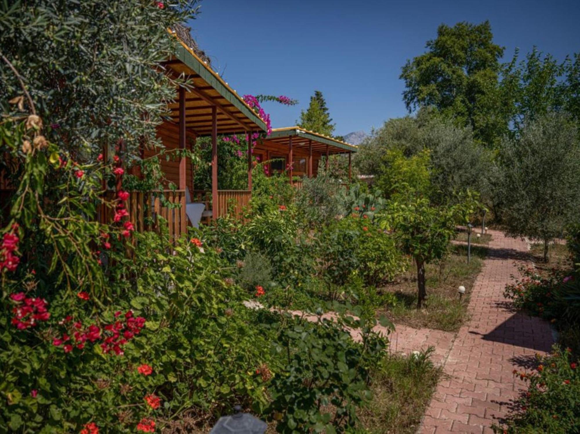Felicity Hotel & Bungalows Kemer Kültér fotó